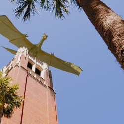 Digital Art Animation